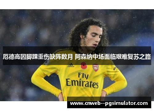厄德高因脚踝重伤缺阵数月 阿森纳中场面临艰难复苏之路 厄德高因脚踝重伤缺阵数月 阿森纳中场面临艰难复苏之路