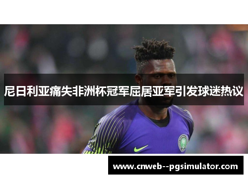 尼日利亚痛失非洲杯冠军屈居亚军引发球迷热议