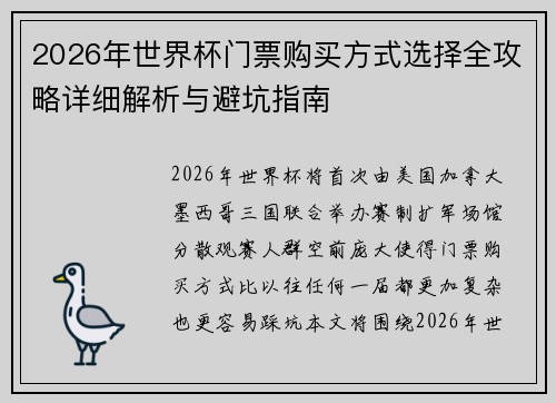 2026年世界杯门票购买方式选择全攻略详细解析与避坑指南