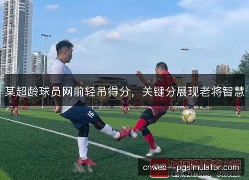 某超龄球员网前轻吊得分，关键分展现老将智慧
