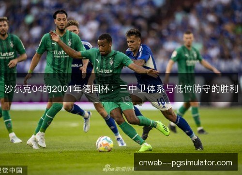沙尔克04的2001年德国杯：三中卫体系与低位防守的胜利